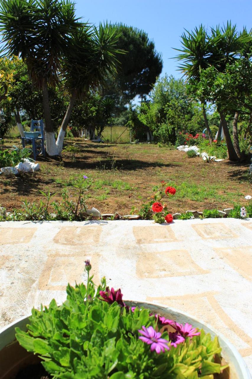Olyna'S Apartment N.S Preveza Nea Sampsounta Экстерьер фото